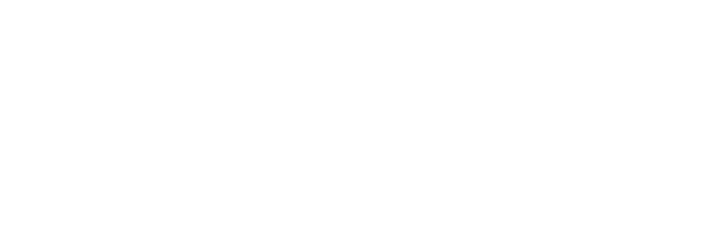 Logo-w-vsr